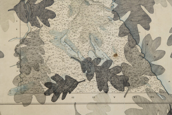 10-Cedar-District-1859-detail