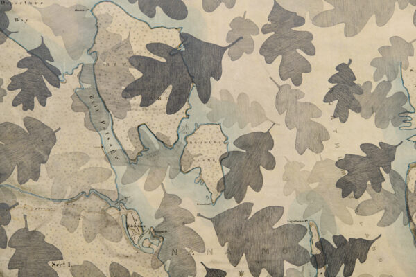 11-Nanaimo-District-1859-detail