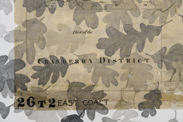 13-Nanaimo-District-1859-detail