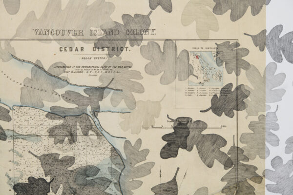 7-Cedar-District-1859-detail